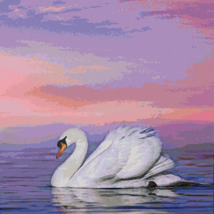 белый лебедь - предпросмотр