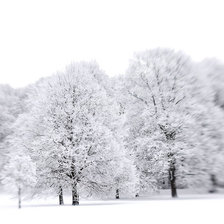 Схема вышивки «white»