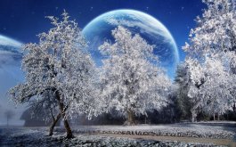№139057 - природа, луна, зима, ночь - оригинал