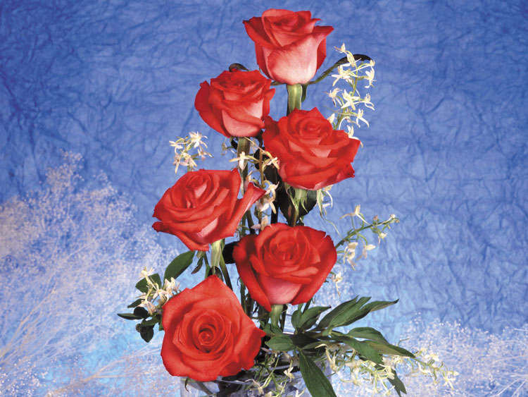 №139092 - цветы, букет.розы - оригинал