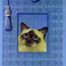 Схема вышивки «подушка»