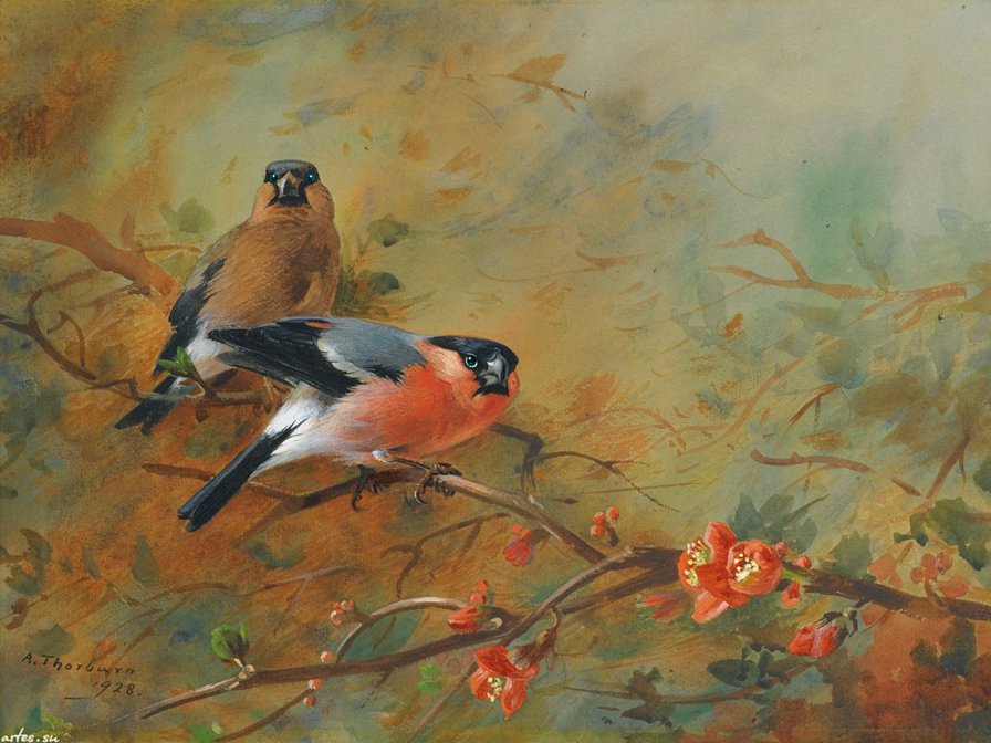пташки - птицы, яркие краски - оригинал