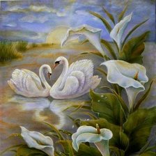 лебединая верность