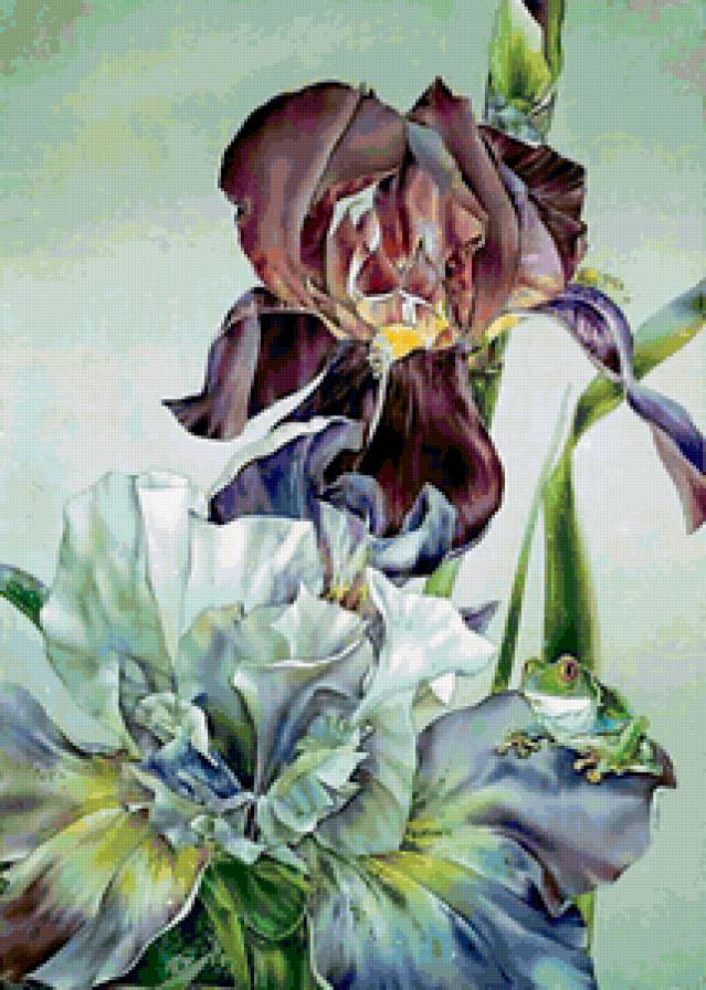 на ирисах - лягушка .ирисы - предпросмотр