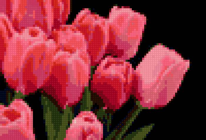 тюльпанчики - предпросмотр