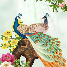 Схема вышивки «павлины»