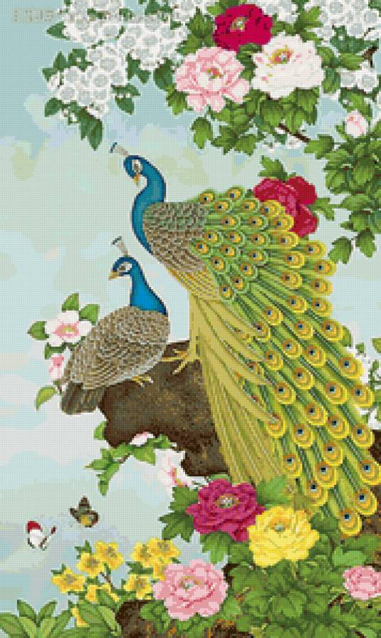 павлины - павлин, любовь, восток, птицы, живопись - предпросмотр