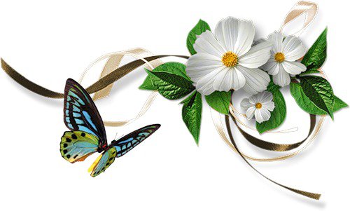 Нежность - бабочка, цветы - оригинал
