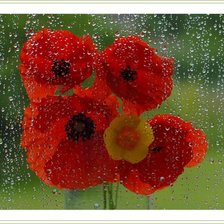 Схема вышивки «За стеклом»