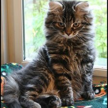 Схема вышивки «№139543»