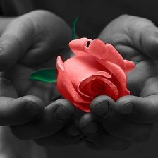 Смысл жизни