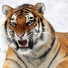 Схема вышивки «№139558»