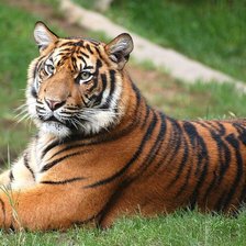 Схема вышивки «№139567»