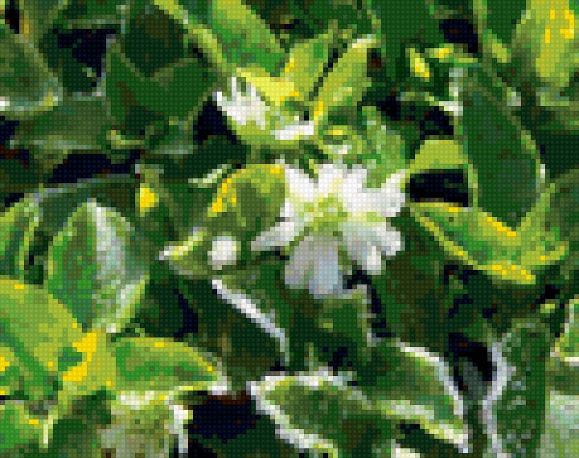 Цветы заснеженные - цветы, зелень, иней - предпросмотр