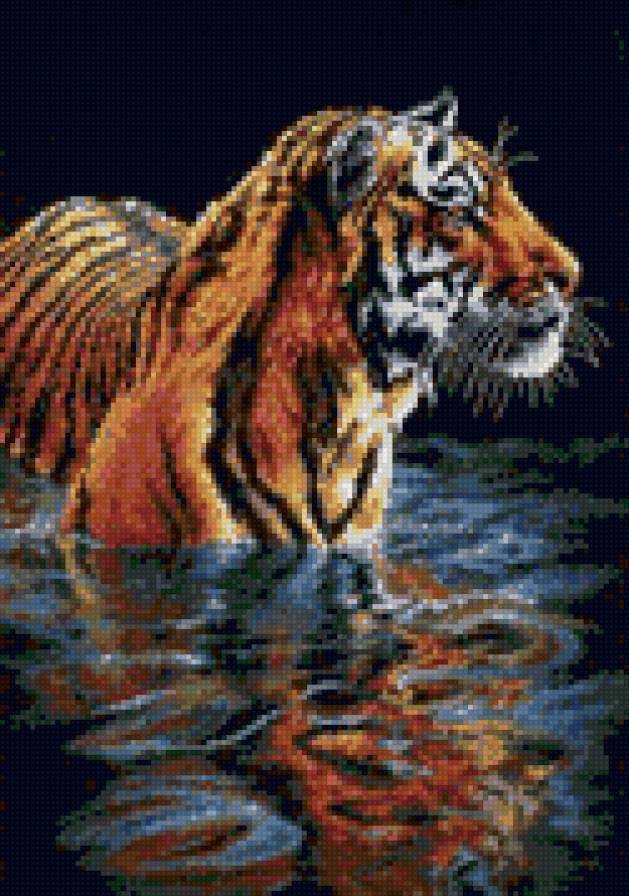Тигр в воде - животные, тигр - предпросмотр