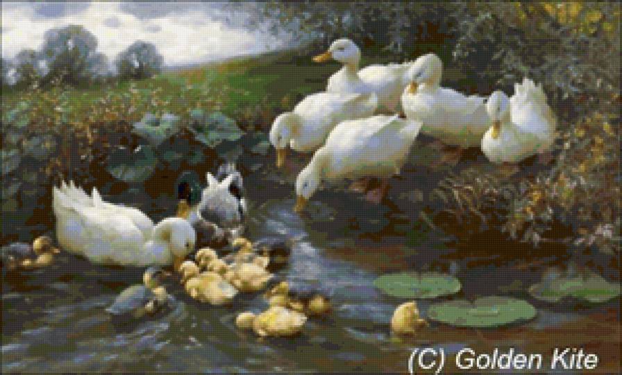 Утки - птицы, пейзаж, живопись - предпросмотр