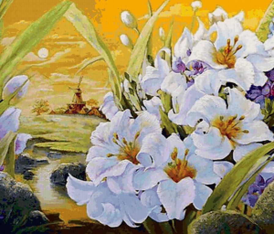 Цветы Голландии - предпросмотр