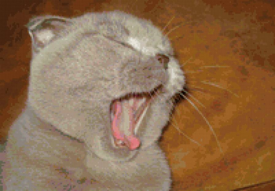 zivaka - предпросмотр