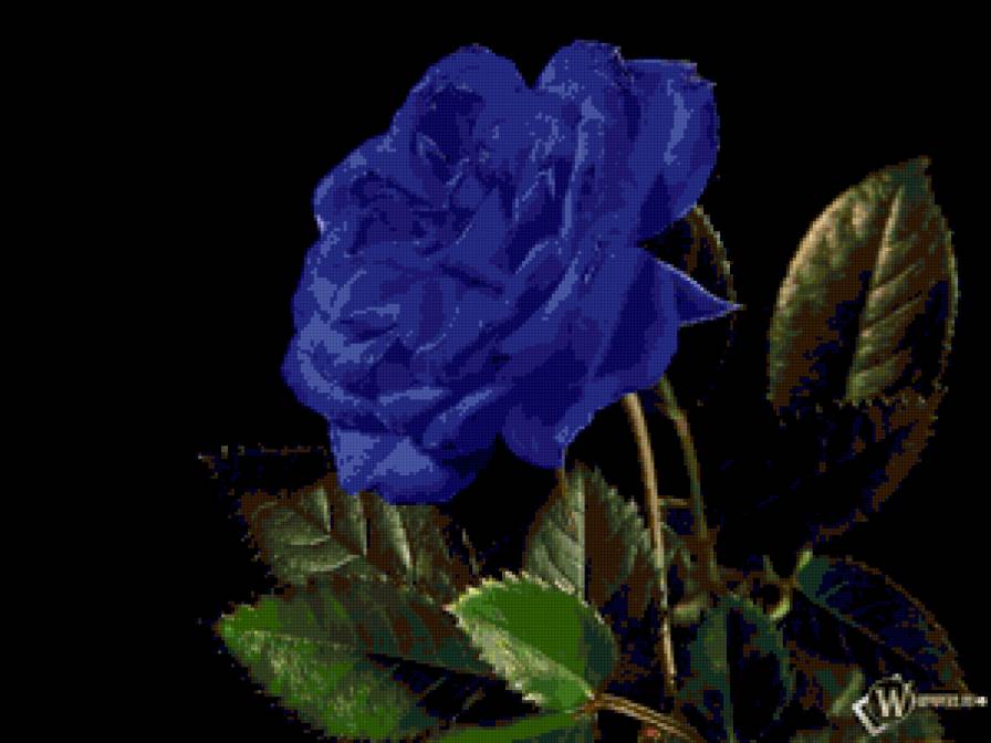 №140079 - предпросмотр