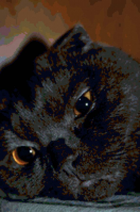 Shell - предпросмотр