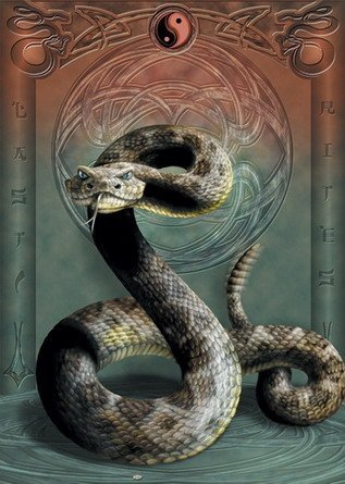 Змея - змеи - оригинал