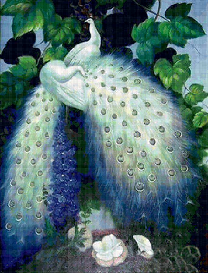 Павлины в саду - альбиносы, птицы, сад, цветы - предпросмотр