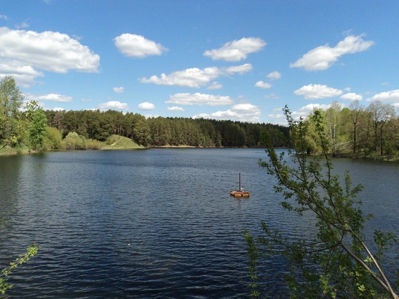 пруд - оригинал