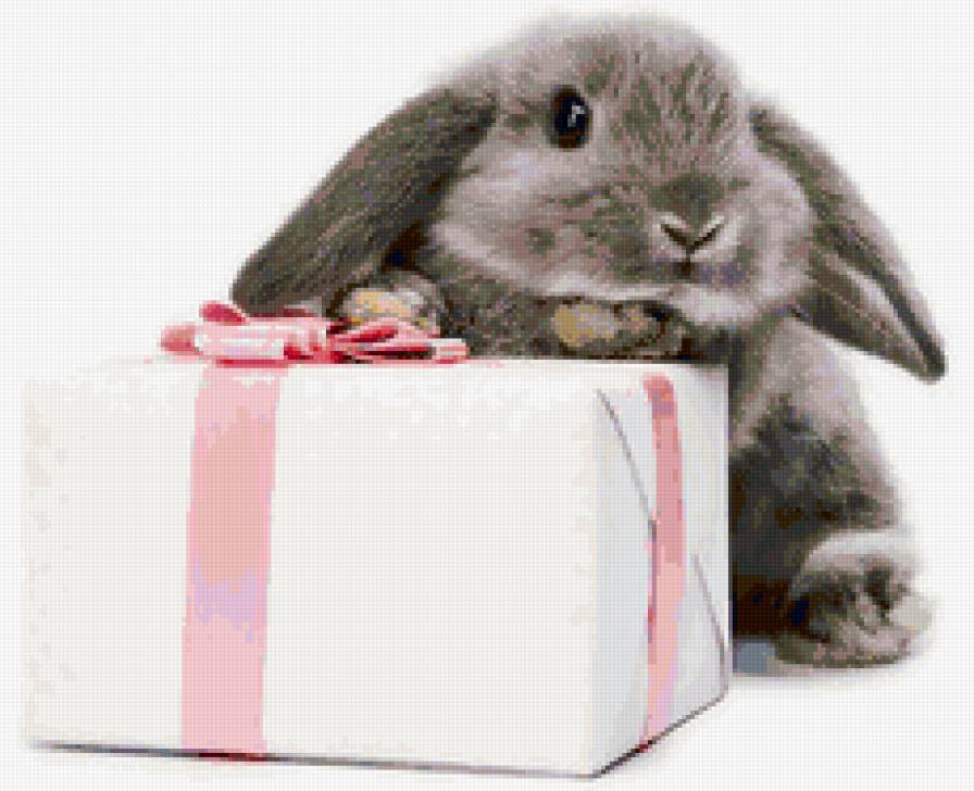 Подарочек - заец, подарок, зайка, животные - предпросмотр