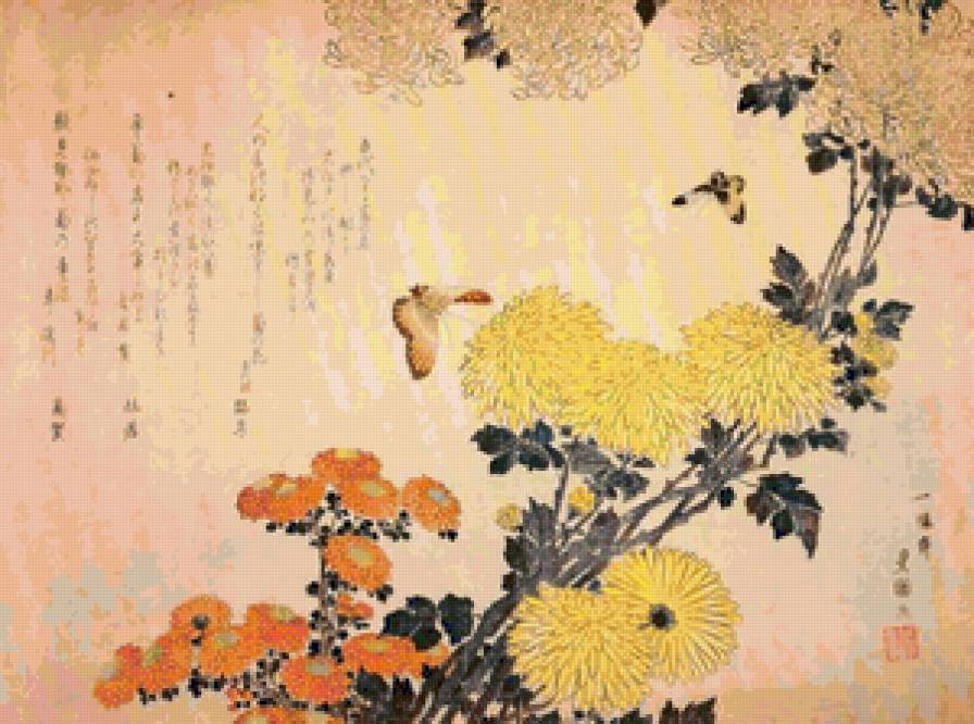 хризантемы - предпросмотр