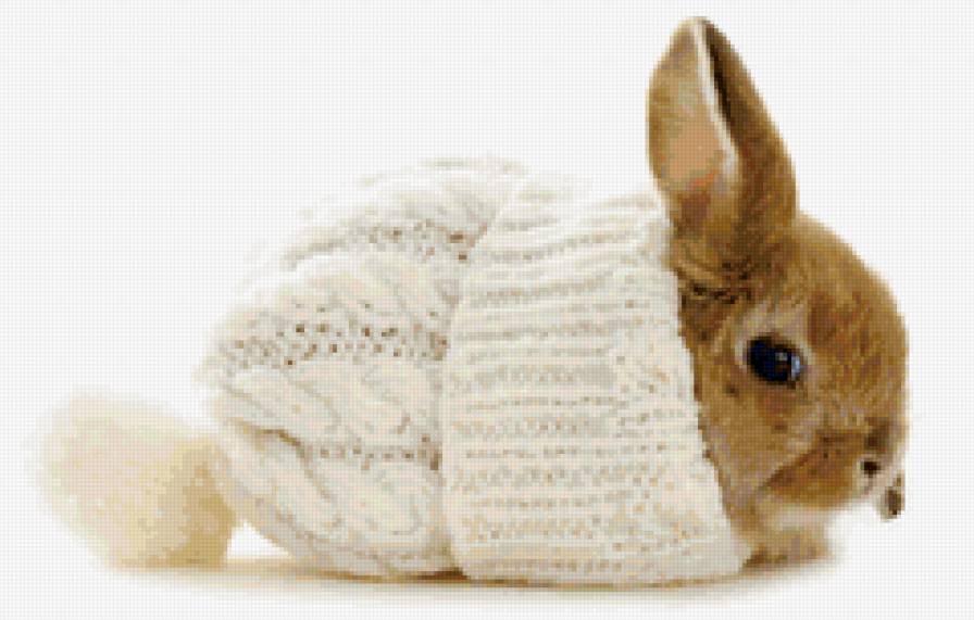 Зайка в шапке - заяц, животные, зайка - предпросмотр