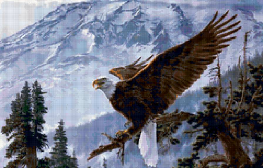 Полет орла - животные, орел, птица, зима, полет - предпросмотр