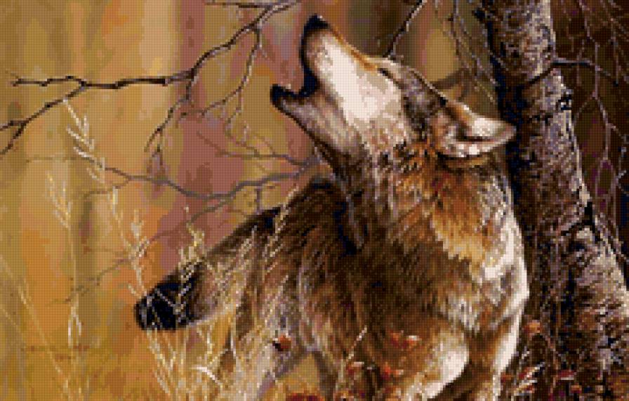 Воющий волк - животные, хищник, волк - предпросмотр