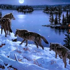 Схема вышивки «Волки ночью»