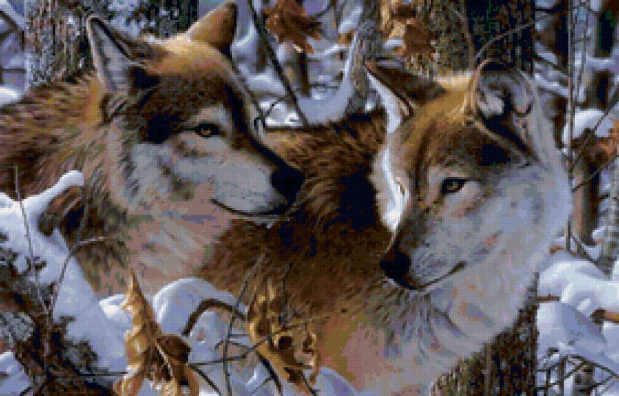 Пара волков - волк, природа, животные, зима, пейзаж - предпросмотр