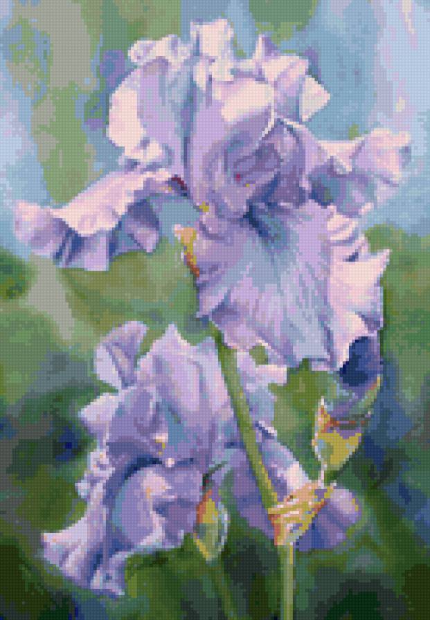 ирисы - предпросмотр