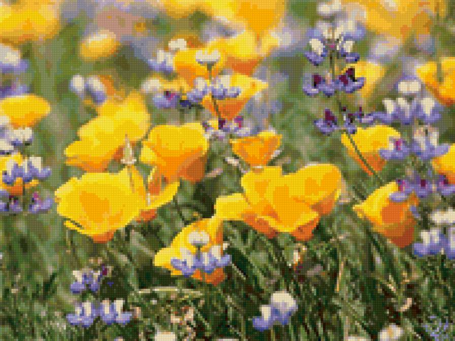 Цветок - цветы - предпросмотр