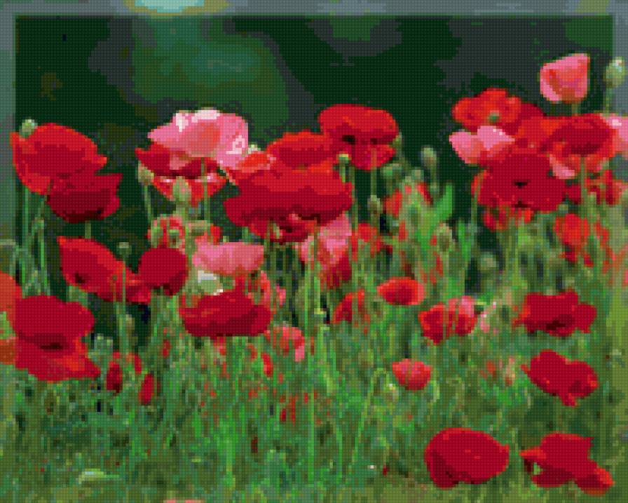 Цветы - цветы - предпросмотр