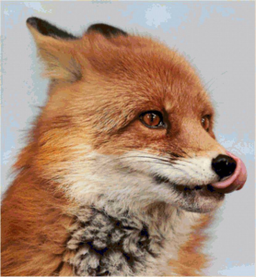 Хитрая лиса - лиса, животные - предпросмотр