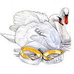 Оригинал схемы вышивки «лебеди» (№141024)