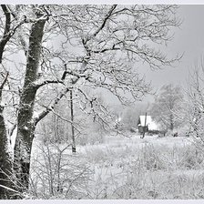 Схема вышивки «зима»