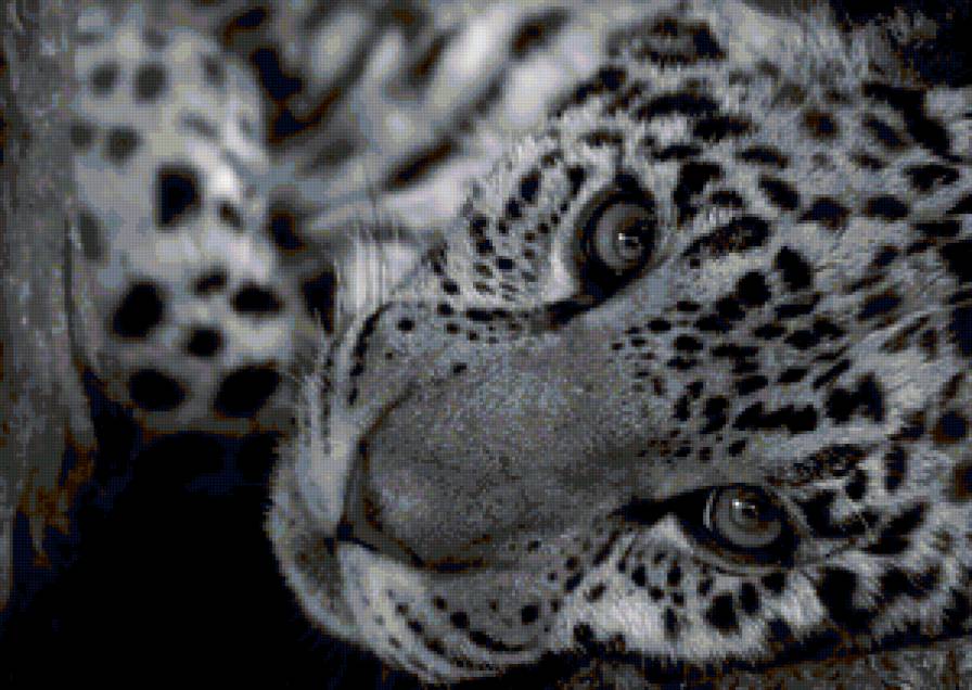 * * * - предпросмотр