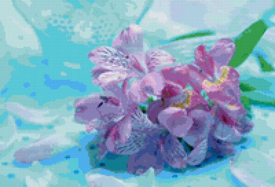 букетик ирисов - цветы - предпросмотр