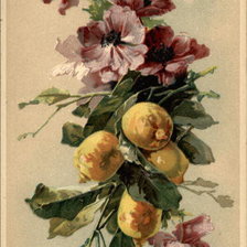 Схема вышивки «№141364»