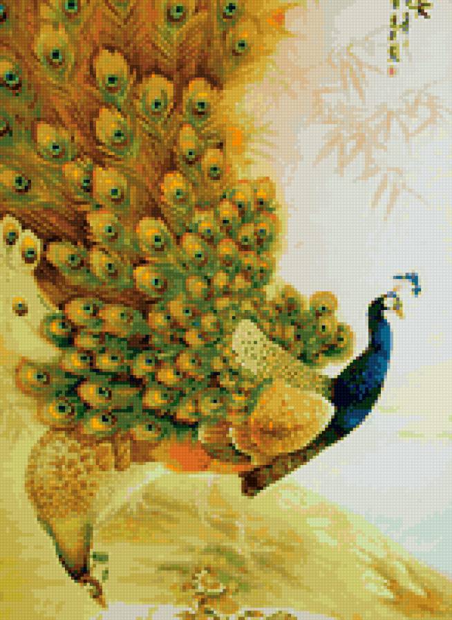 павлин - павлины - предпросмотр