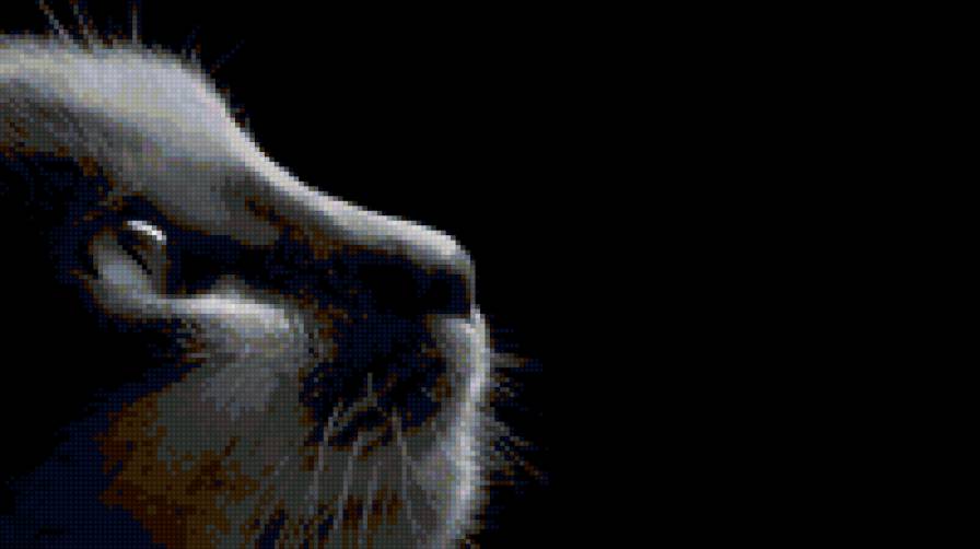 котёнок - монохром, котенок - предпросмотр