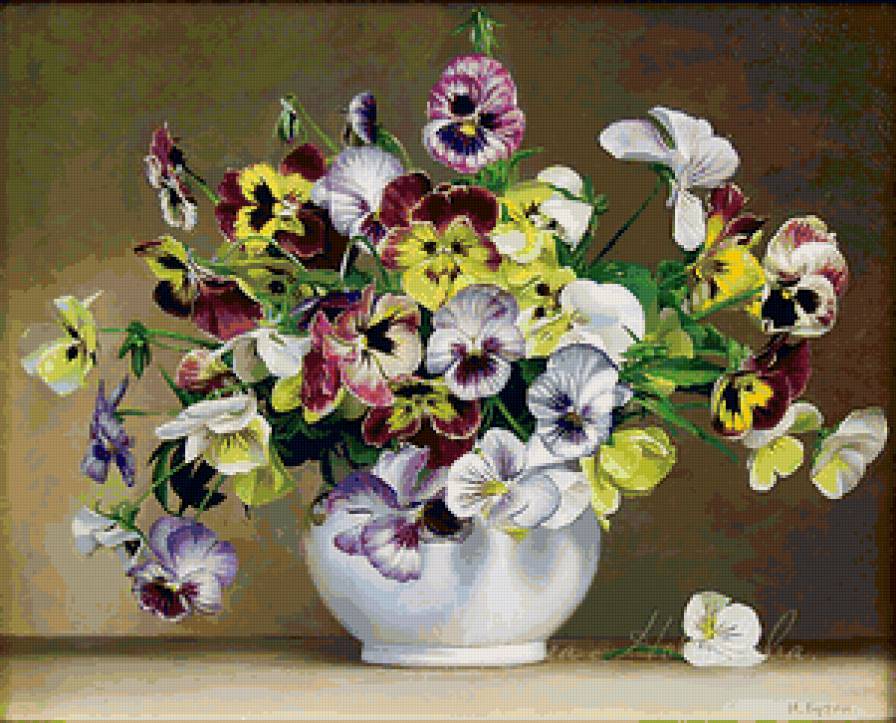 Анютины Глазки - цветы - предпросмотр