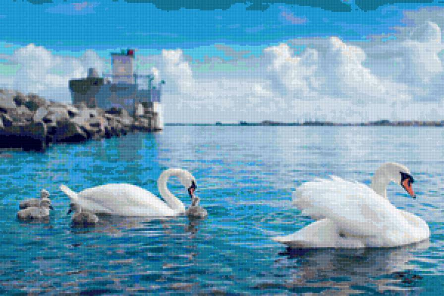 Лебеди - предпросмотр