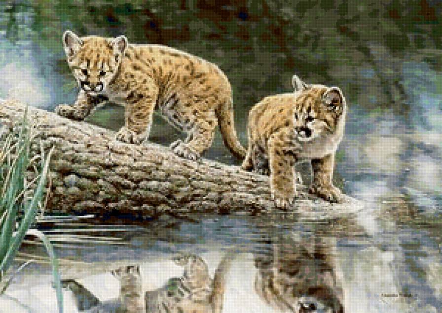 №141996 - предпросмотр