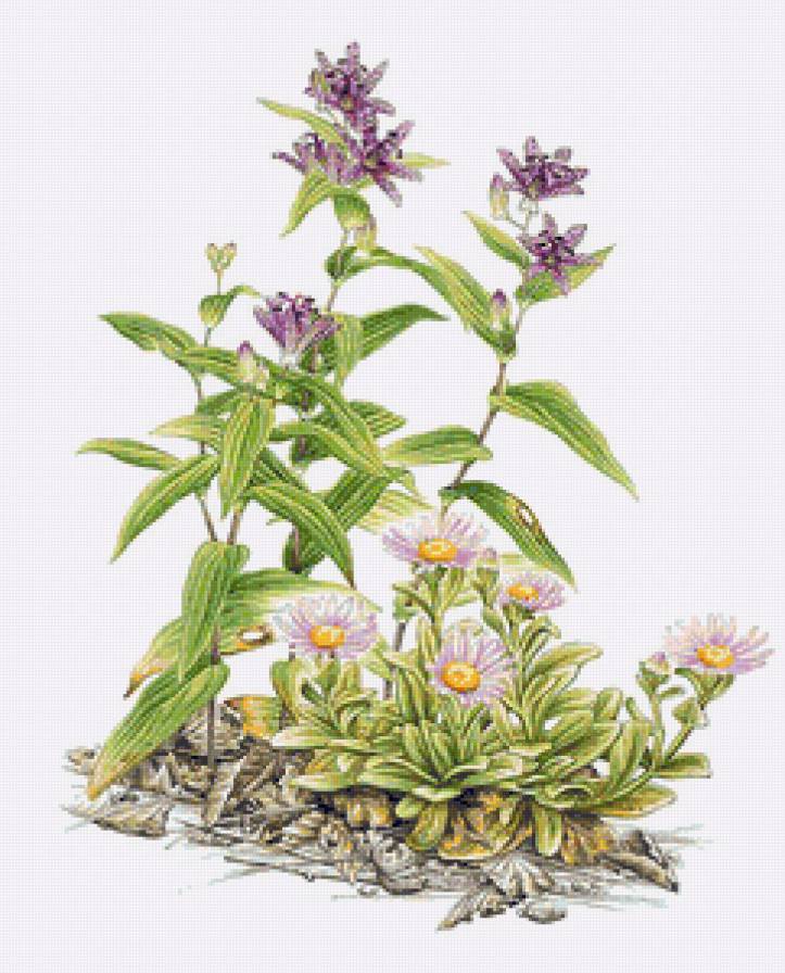 №142034 - предпросмотр