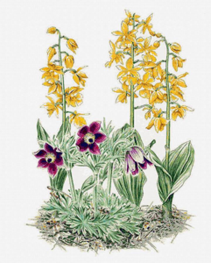 №142048 - предпросмотр